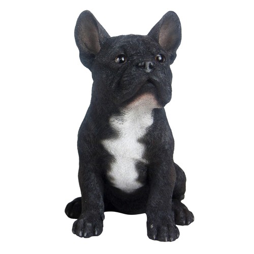 Bulldog francese colore - , nero
