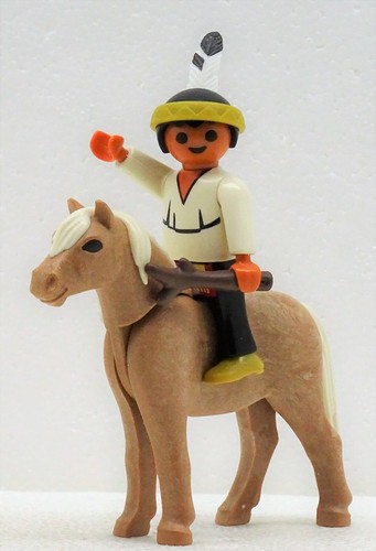 Dolce indiani ragazzi con - con, pony